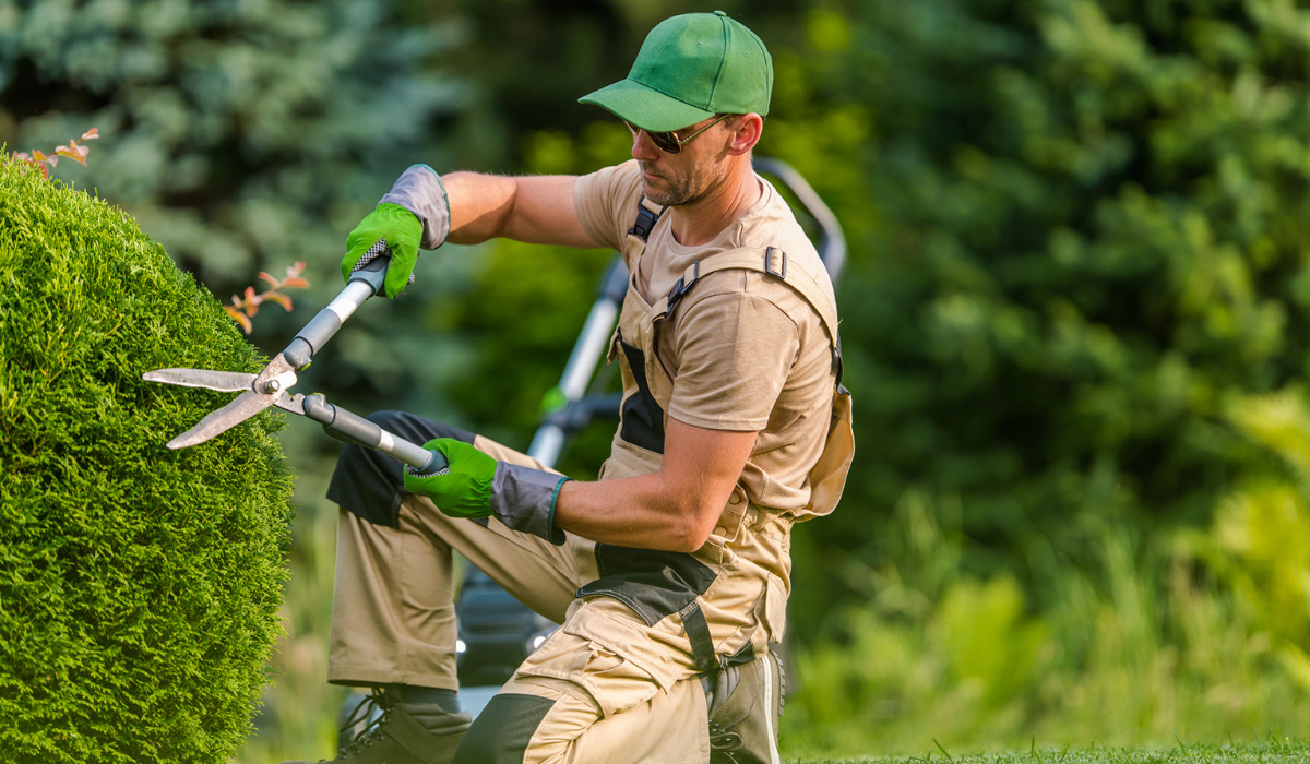 7 Landscaping Supplies You Need in Your Shed