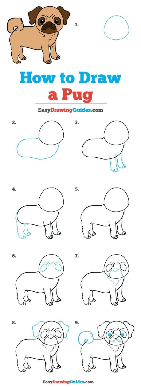 How to Draw a Dog in 4 Easy Steps – Arteza.com