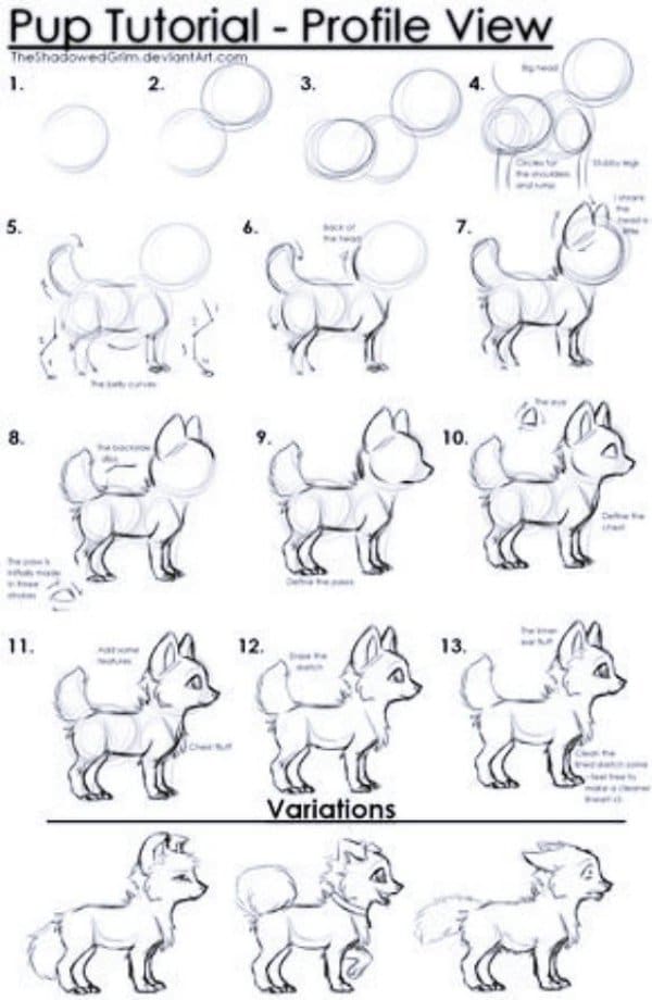 How-to-Draw-a-Dog-Step-by-Step-Dog-Drawing-Tutorials