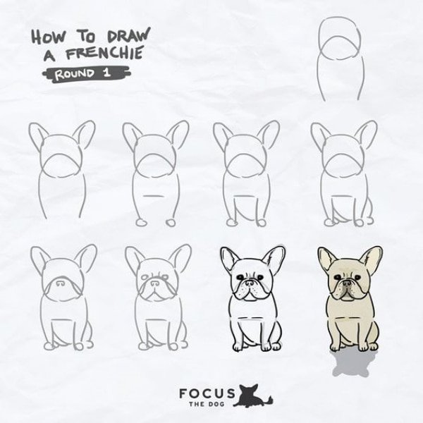 How-to-Draw-a-Dog-Step-by-Step-Dog-Drawing-Tutorials