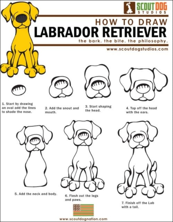 How-to-Draw-a-Dog-Step-by-Step-Dog-Drawing-Tutorials