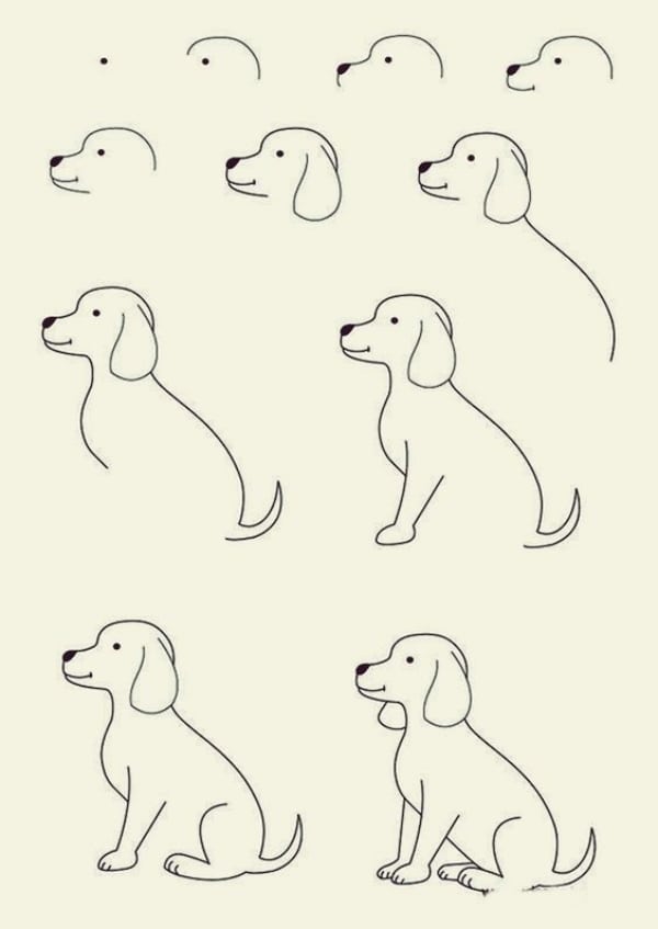 Dog Drawing Step by Step - Art Starts