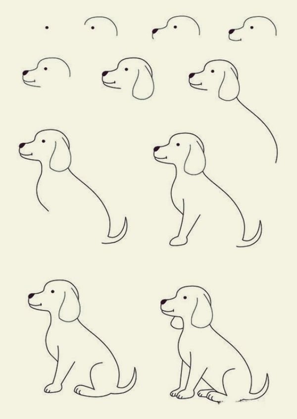 How-to-Draw-a-Dog-Step-by-Step-Dog-Drawing-Tutorials