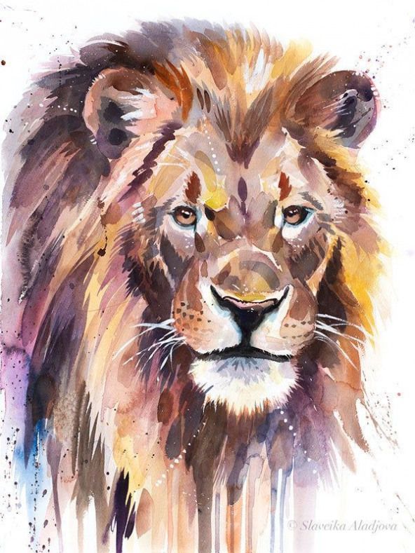 10 Cute Animal Watercolor Paintings in 2020