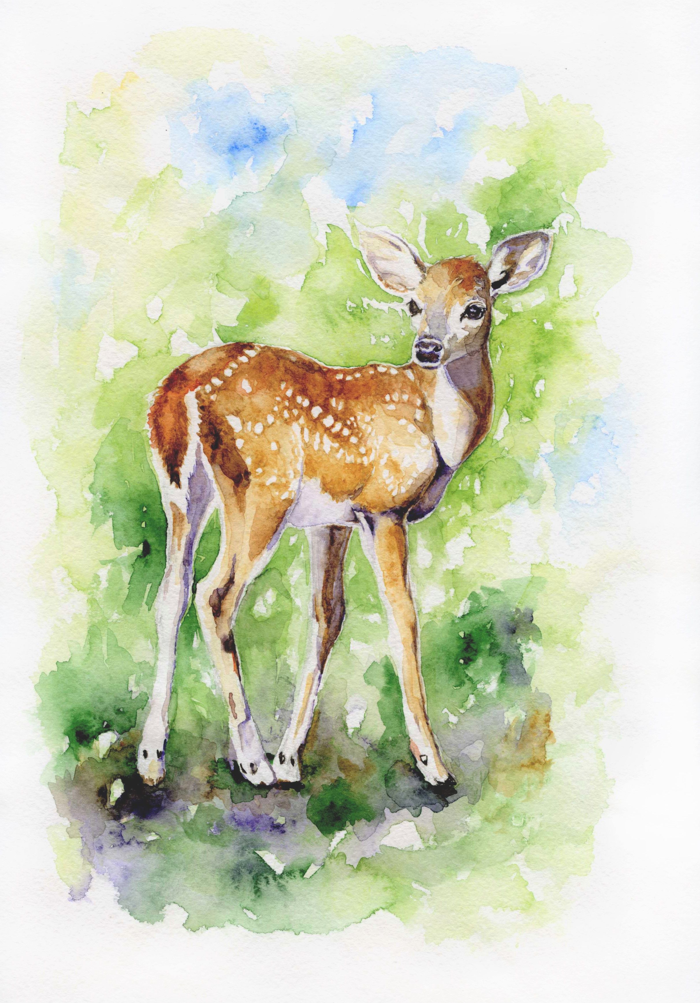 10 Cute Animal Watercolor Paintings in 2020 | Artisticaly - Inspect the  Artist Inside You!