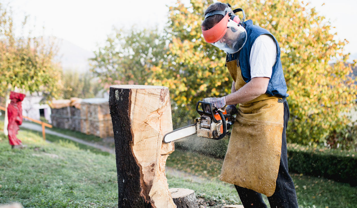 6 Industrial Wood Carving Safety Gloves and Glasses