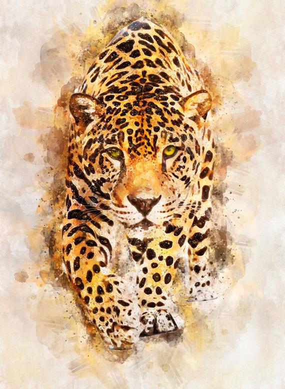 leopard