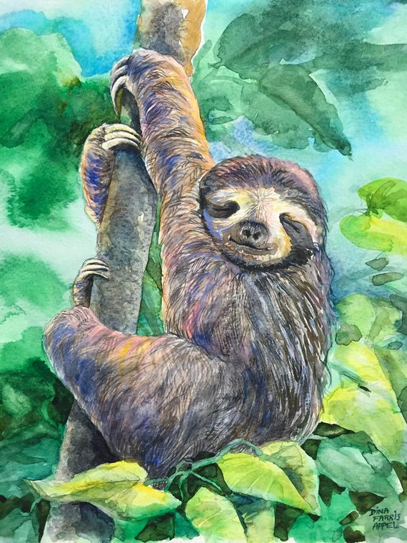 sloth 1