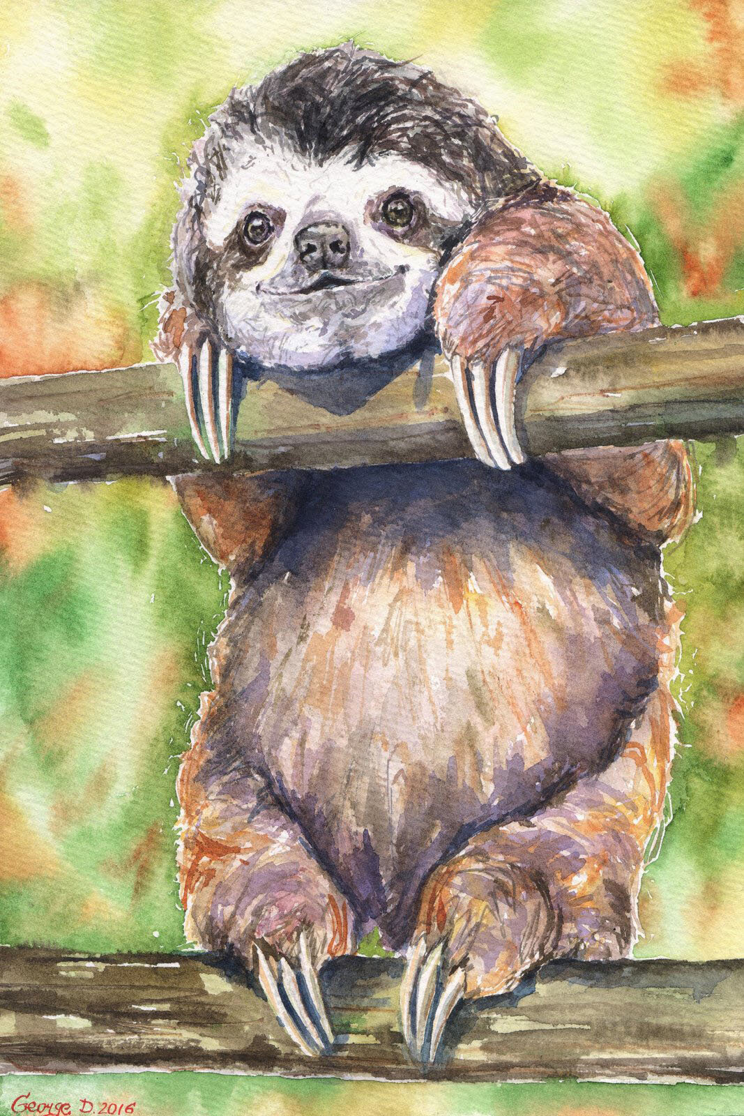 sloth 2